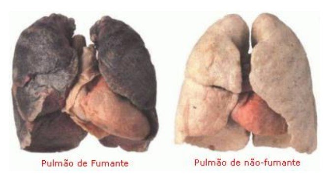 pulmão do fumante fumar cigarro