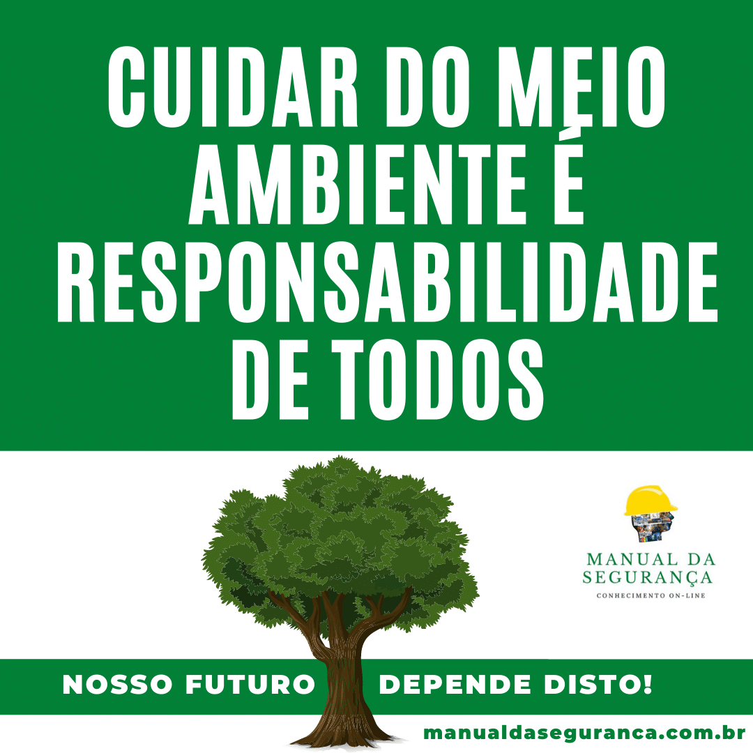 Importancia De Cuidar Do Meio Ambiente 