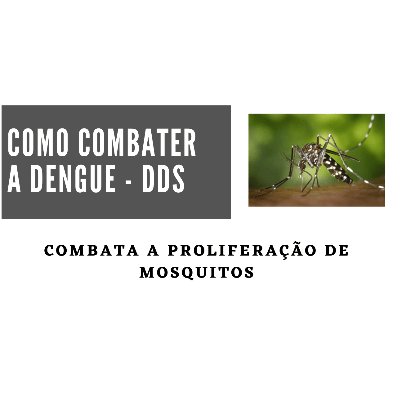como combater a dengue