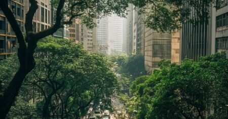 Preservação Ambiental: O Que É e 5 Passos Essenciais para Proteger o Planeta Hoje!