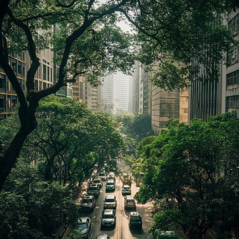 Preservação Ambiental Caminhos para uma Sustentabilidade Eficaz e Consciente